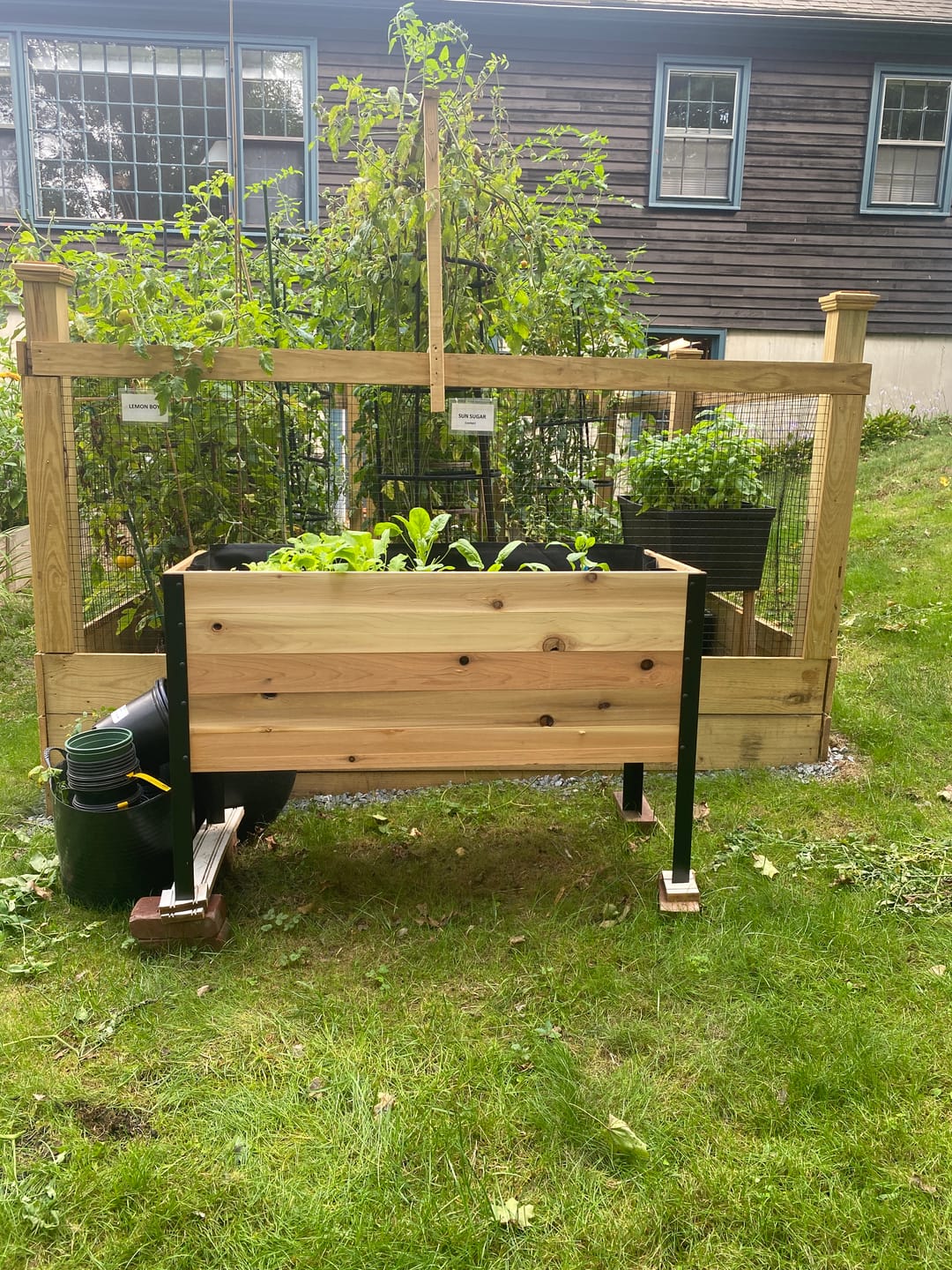 Customer photo review of 18″ x 48″ Deep Root Raised Garden Bed - 30″ TALL / Garden Grade