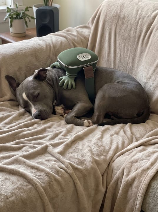 Customer photo review of Zavelix™ Dual-Use Red Light & Deep-Kneading Massager for People & Pets