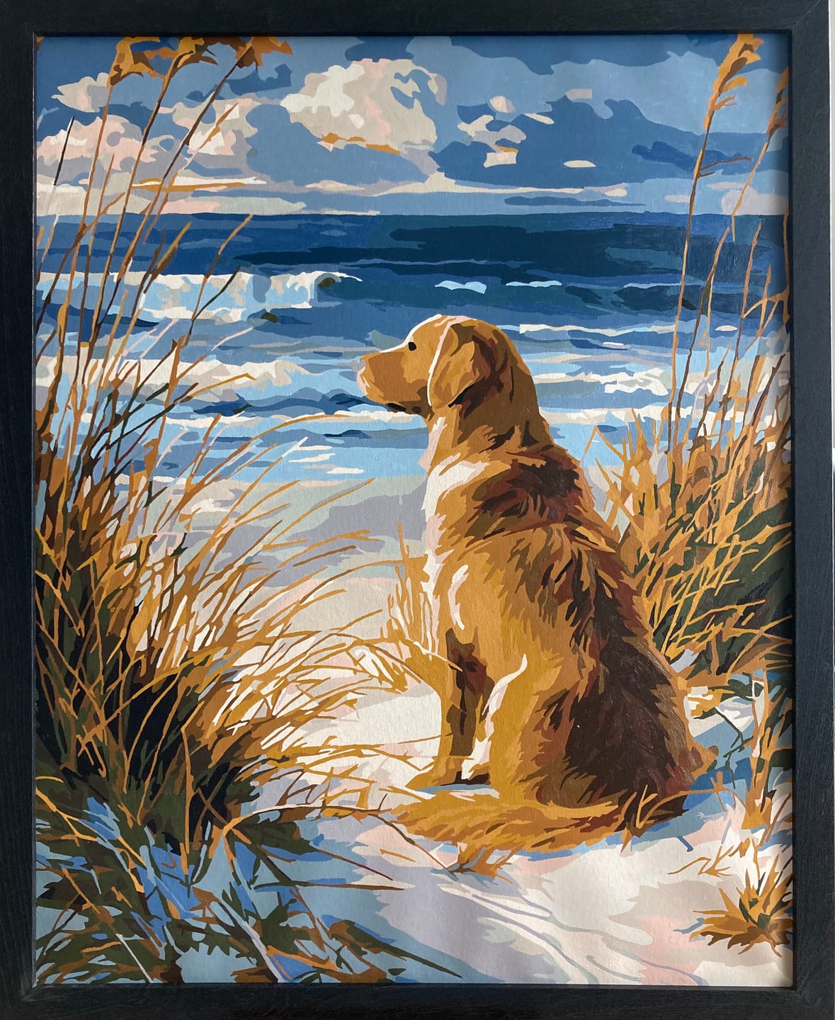 Customer photo review of Wachtende labrador