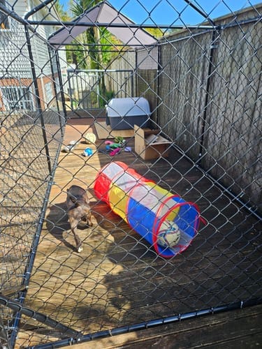 Customer photo review of Aegis Outdoor Dog Run With Roof Cover - 196x582x230cm