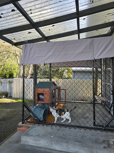 Customer photo review of Aegis Outdoor Dog Run With Roof Cover - 196x196x230cm