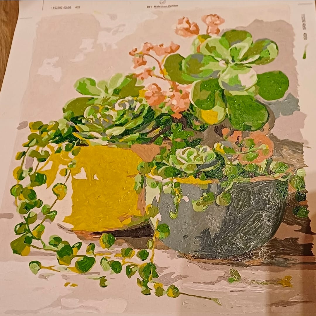 Customer photo review of Malen nach Zahlen - Frühlings-Sukkulenten