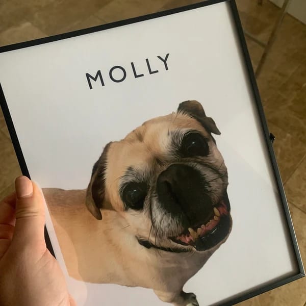 Customer photo review of Custom Pet Portrait