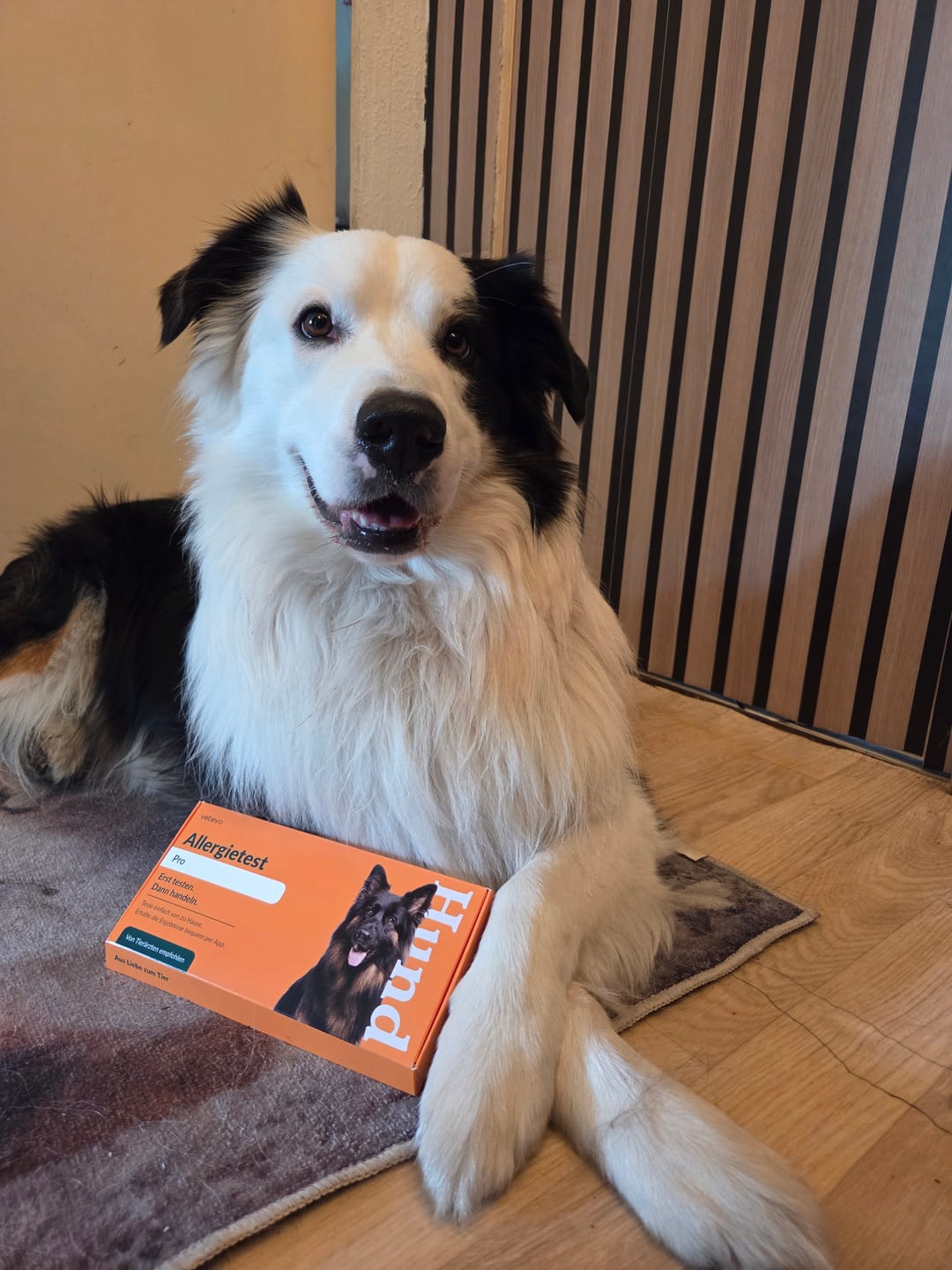 Customer photo review of Allergietest Pro Hund