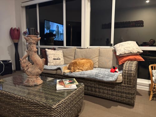 Customer photo review of Cosy Couch - Couch Cover