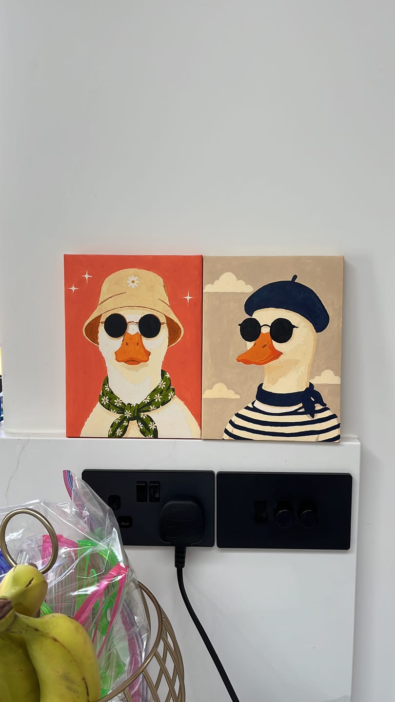 Customer photo review of 6 Mini Paintings - Funky Duck Set