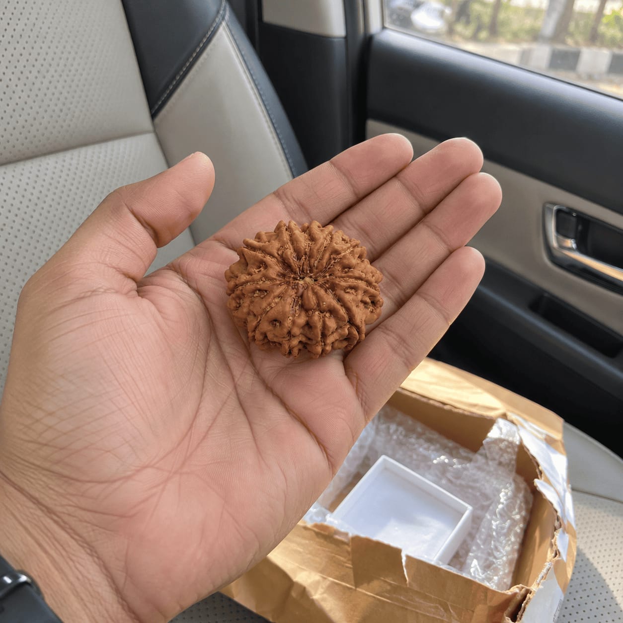 Customer photo review of 11 Mukhi Rudraksha (Nepali)