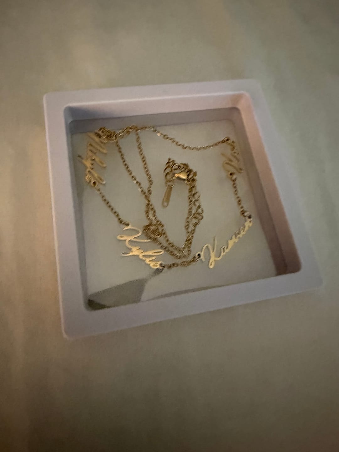 Customer photo review of Multi Name Necklace