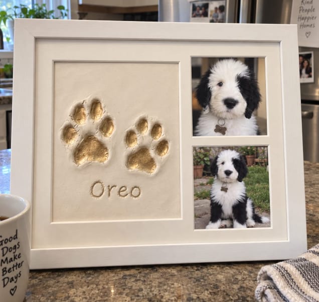 Customer photo review of Nuvli Forever Paw Keepsake