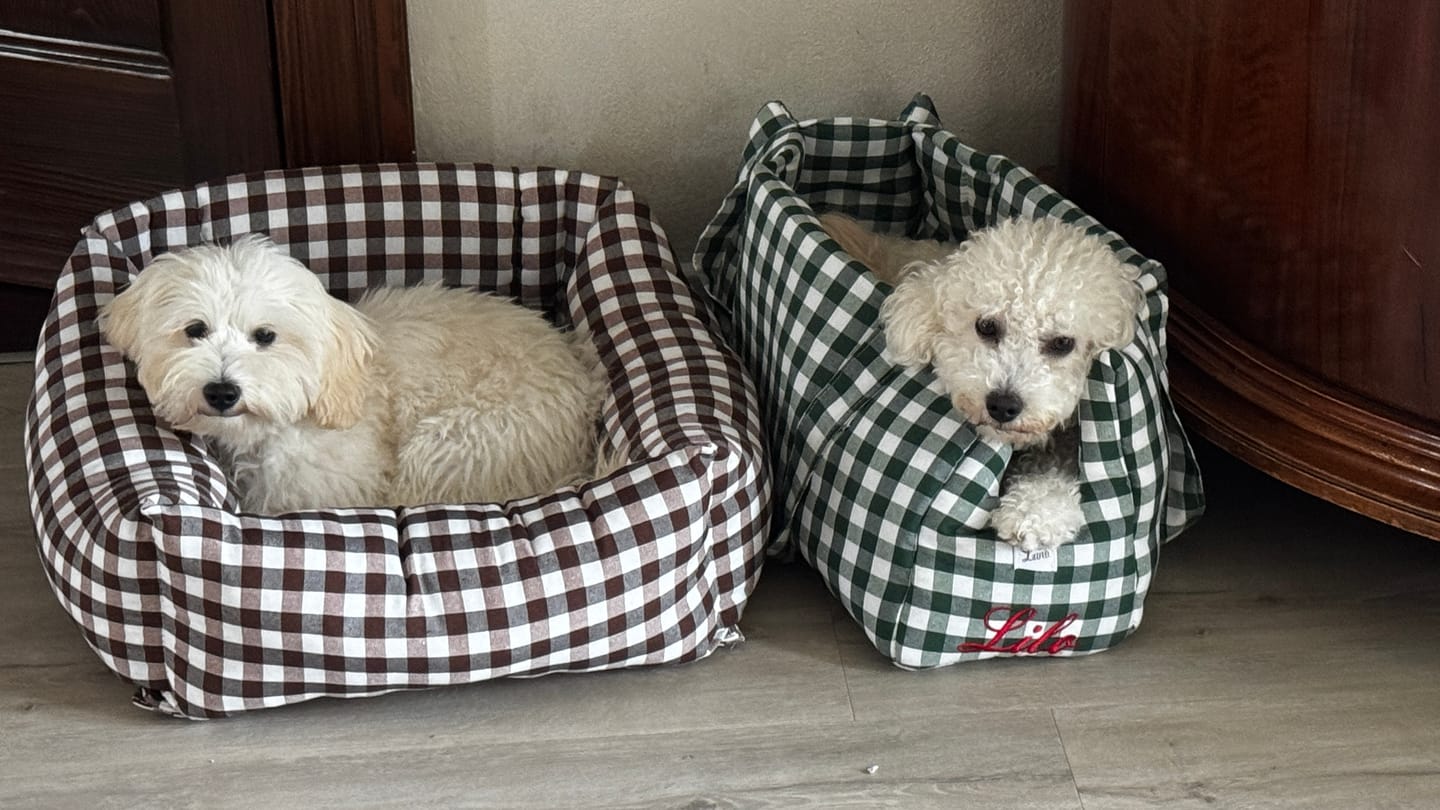 Customer photo review of Seggiolino Auto Cotone Quadretto Marrone