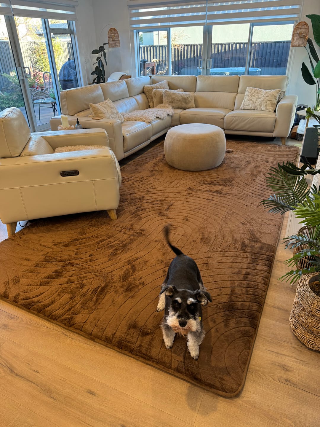 Customer photo review of Designer Relax Mat - 35mm Thick Foam Base