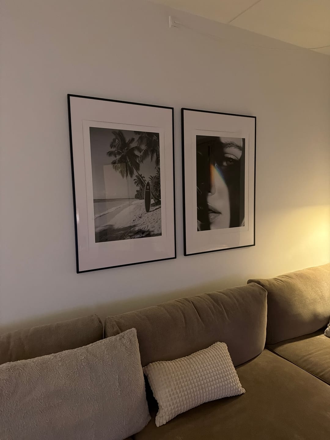 Customer photo review of Palm Noir Poster