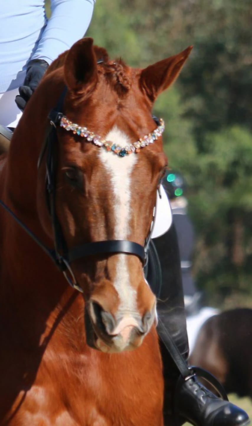 Customer photo review of Ania browband