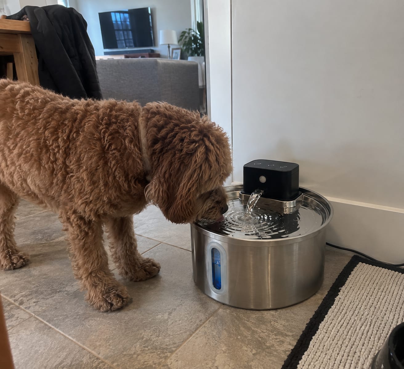 Customer photo review of HydraPaws Smart Flow