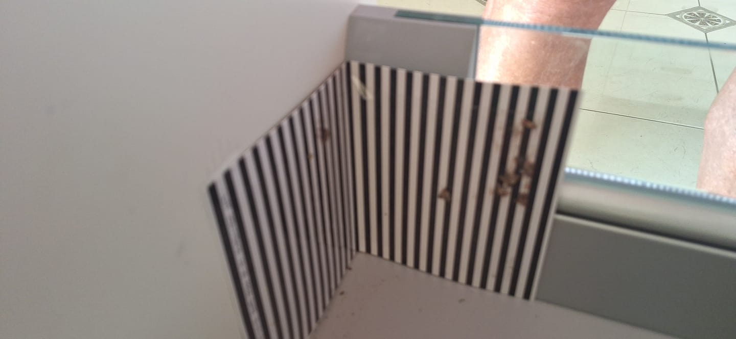 Customer photo review of Schlupfwespen gegen Lebensmittelmotten