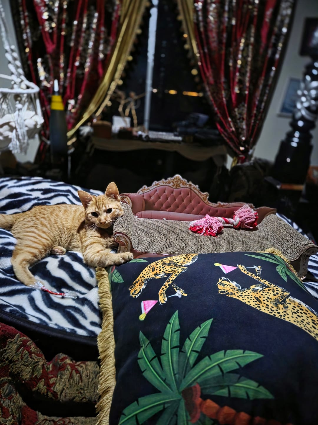 Customer photo review of Queen K Cocktail Cheetah Decorative Cushion with Fringe
