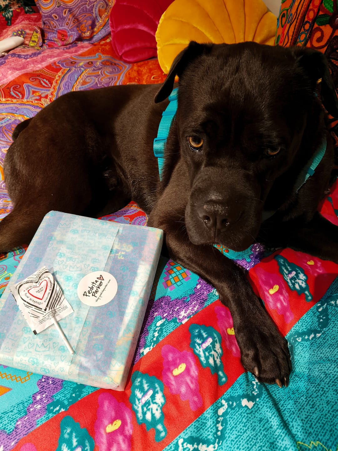 Customer photo review of Ilustración A5 de Regalo