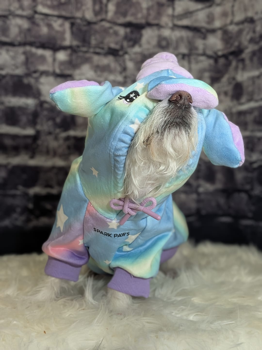 Customer photo review of Halloween Dog Hoodie - Unicorn