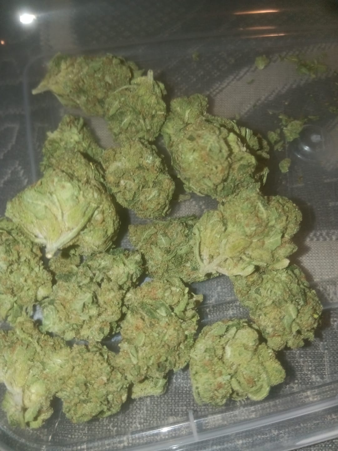 Customer photo review of Light Assist THCA Flower