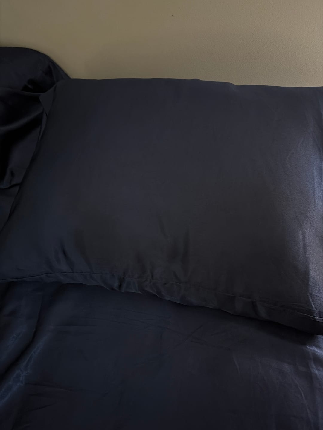 Customer photo review of Ploof Pillow