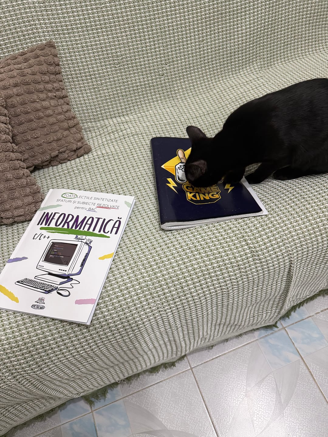 Customer photo review of Carte Informatică Bacalaureat C/C++ Bacademia