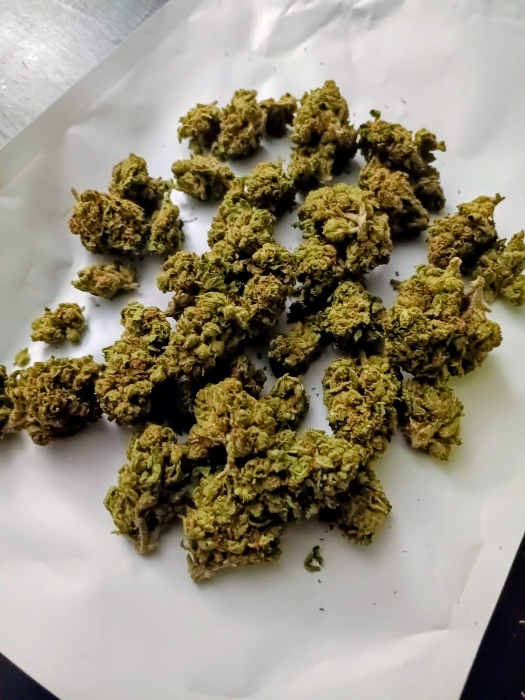 Customer photo review of Sour Tangie THCA Flower