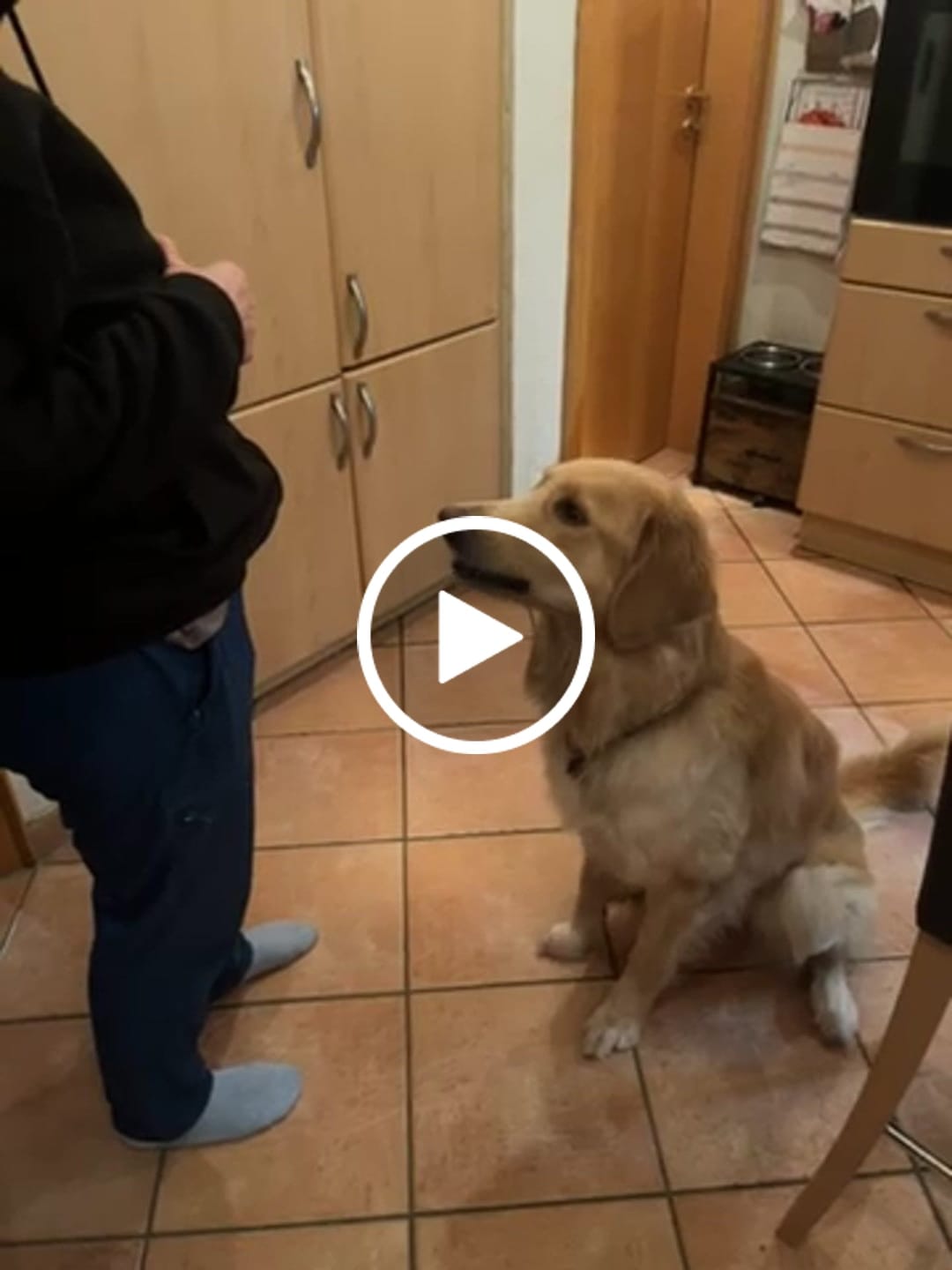 Customer video review of Wo diese Pfoten sind - Personalisierbarer Classic Zipper Hoodie Unisex