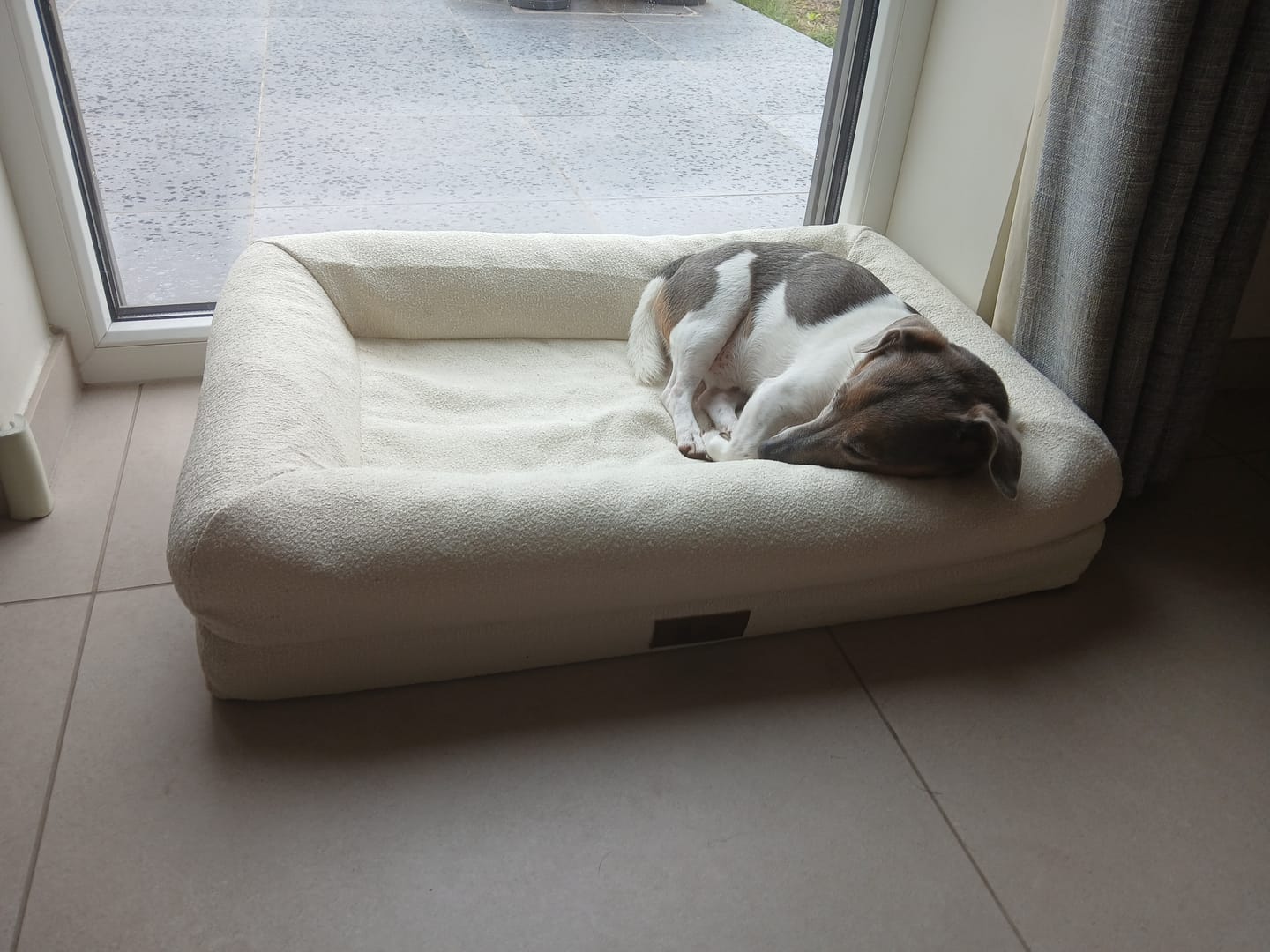 Customer photo review of Pet Perfect Orthopedische Hondenmand - Model 2 - Bouclé Cover
