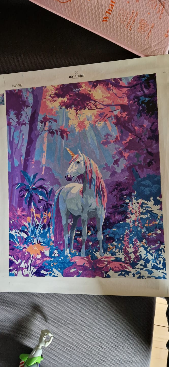 Customer photo review of Magical woods | Paint by Number
