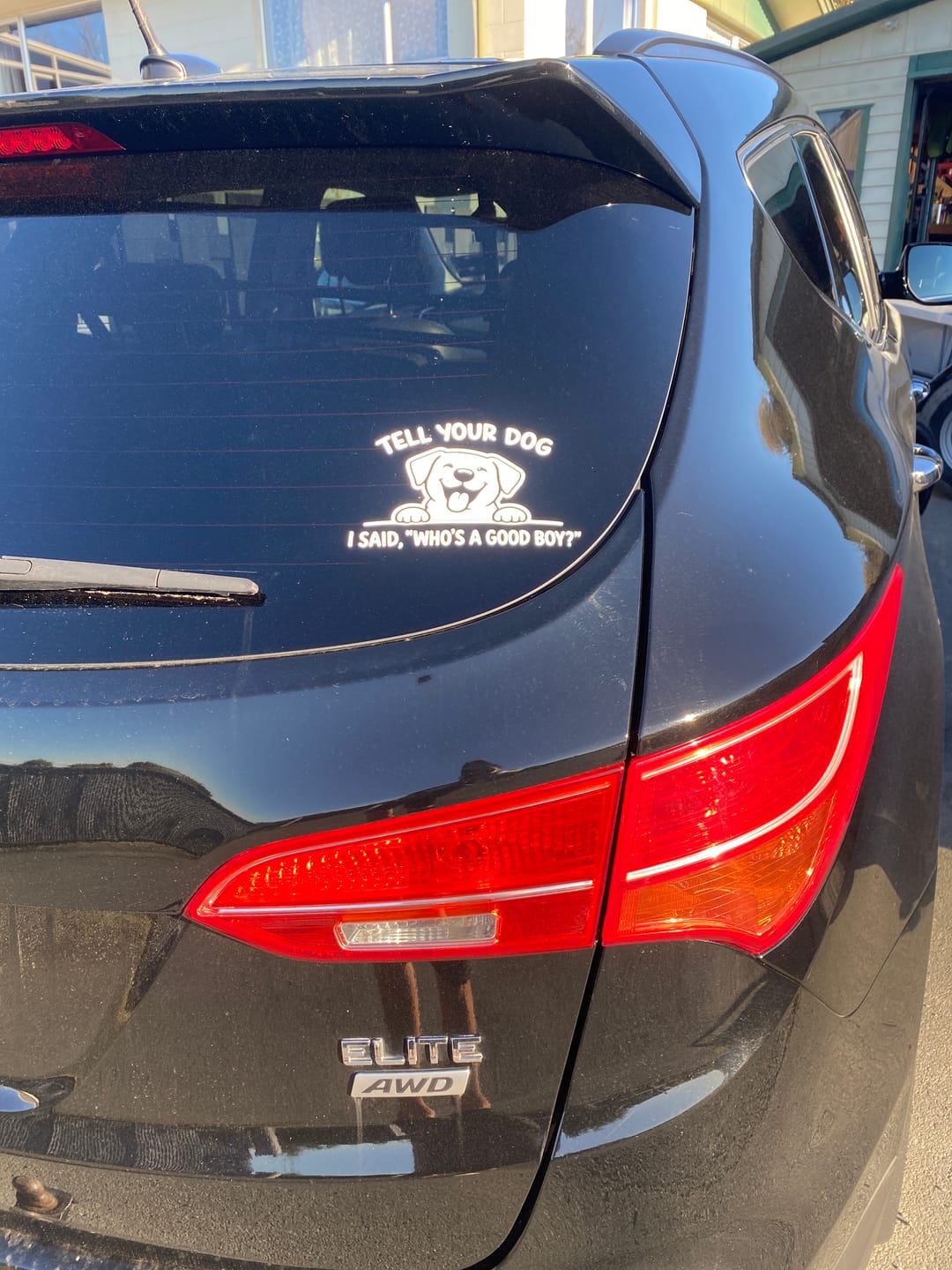 Customer photo review of Who's A Good Boy?
