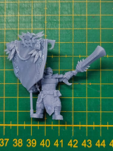 Customer photo review of Anycubic Photon P1 Max
