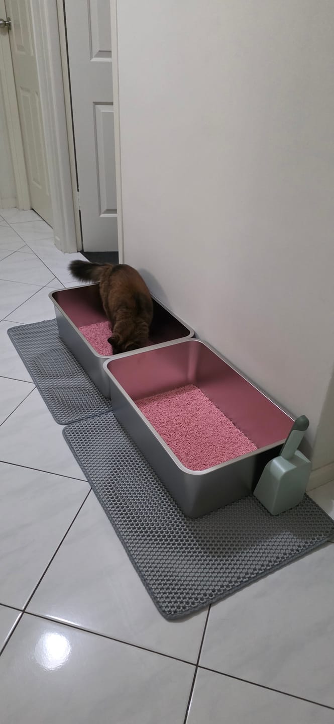 Customer photo review of Stainless Steel Open Cat Litter Box – Large High-Edge Design