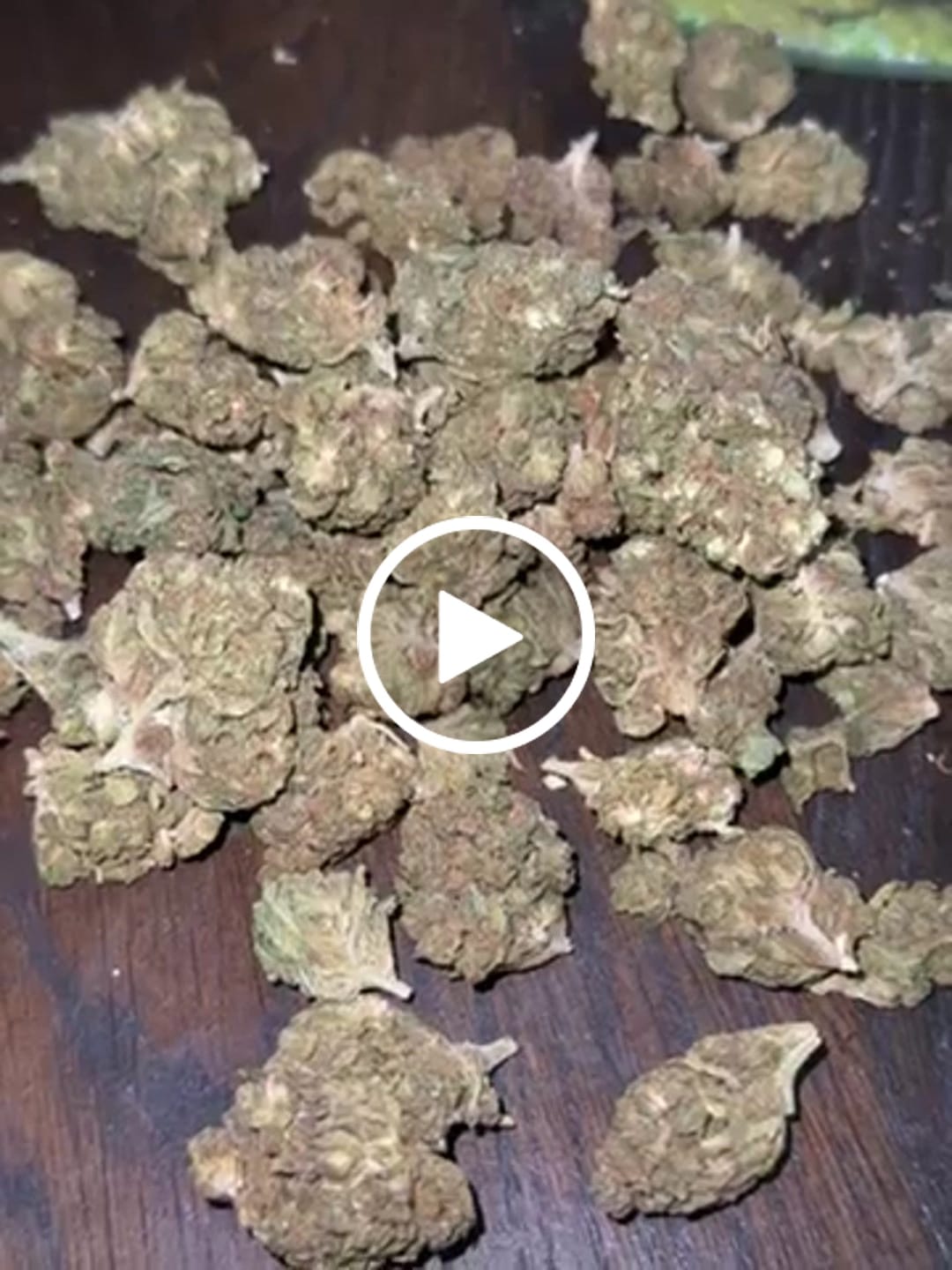 Customer video review of Mochi Gelato - Bulk - Indica