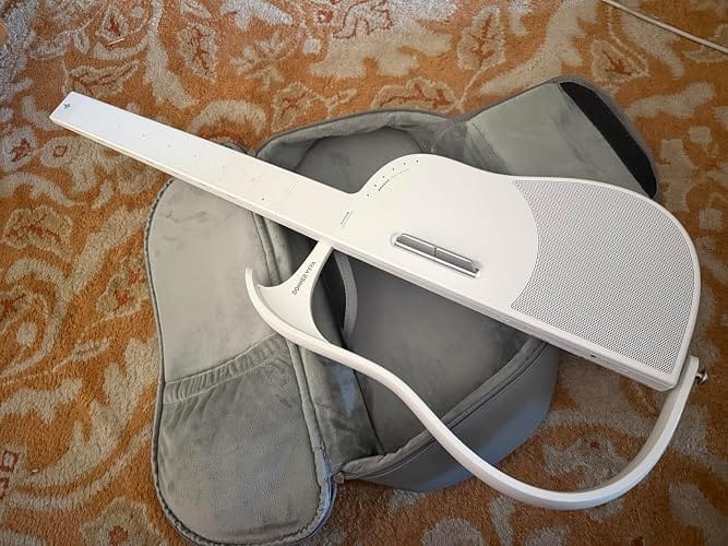 Customer photo review of Donner VIVA Guitare sans cordes innovante