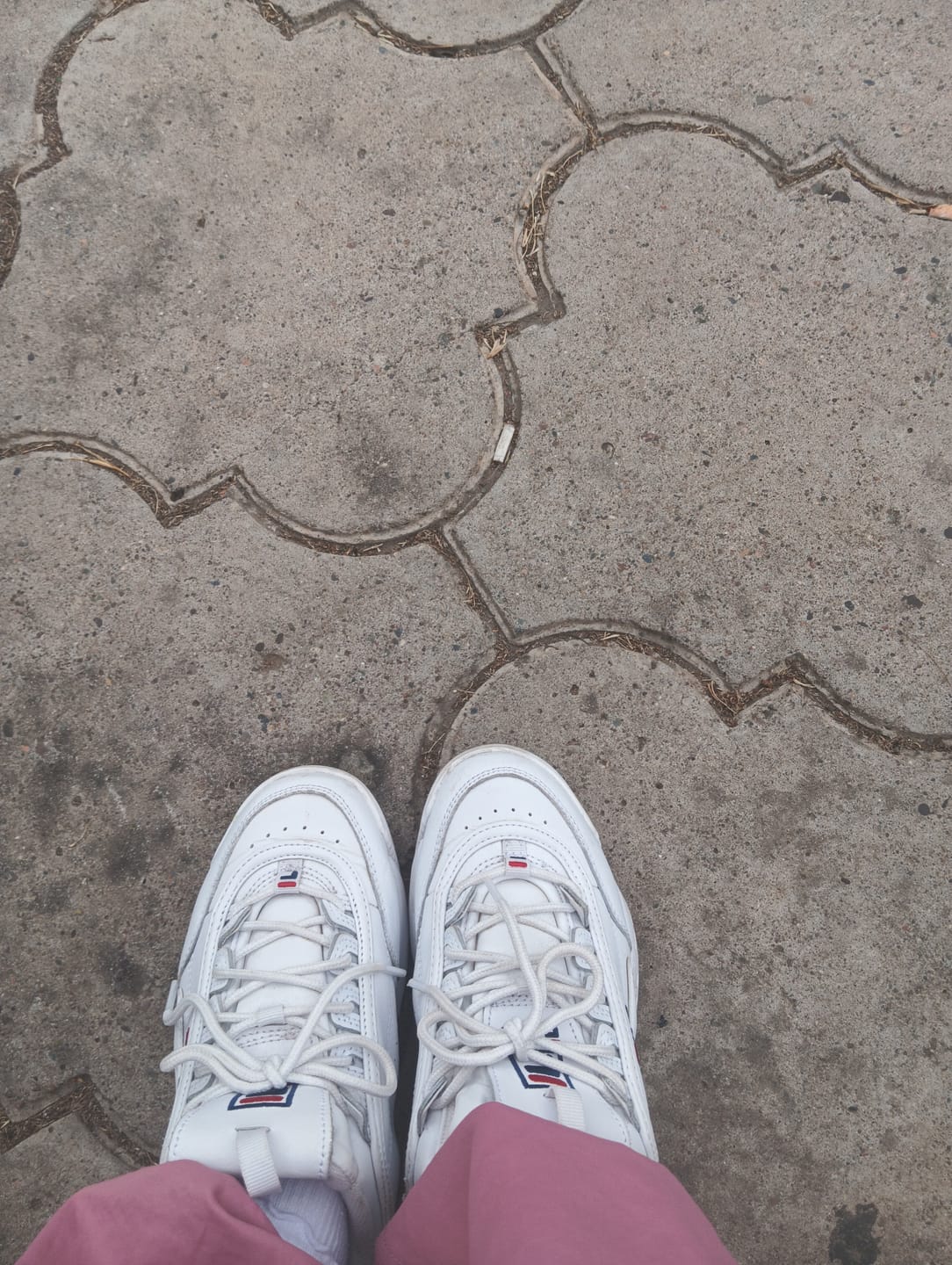 Customer photo review of Zapatilla Fila Disruptor II Premium Mujer Mono Blanco