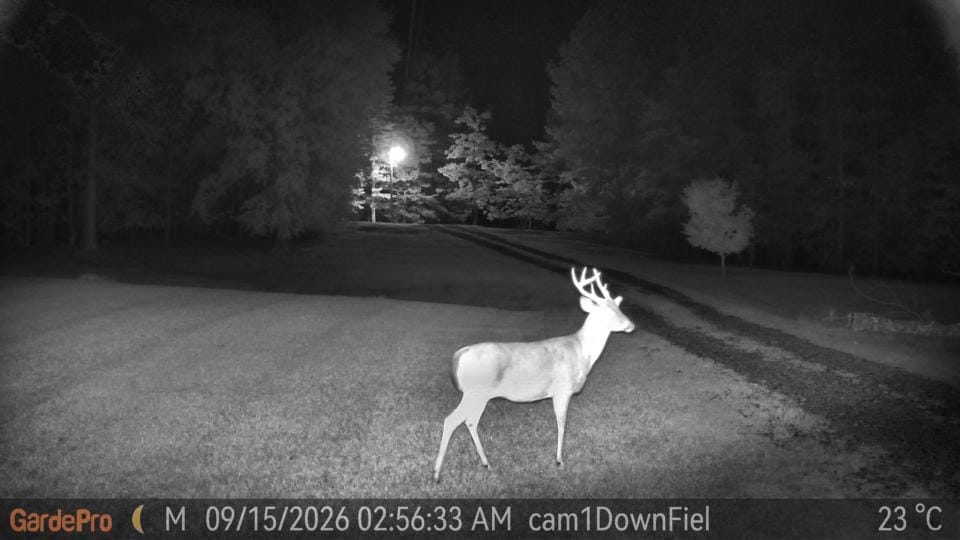 Customer photo review of GardePro Link 1.0 3000ft(1km) Long-Range Wireless Trail Camera