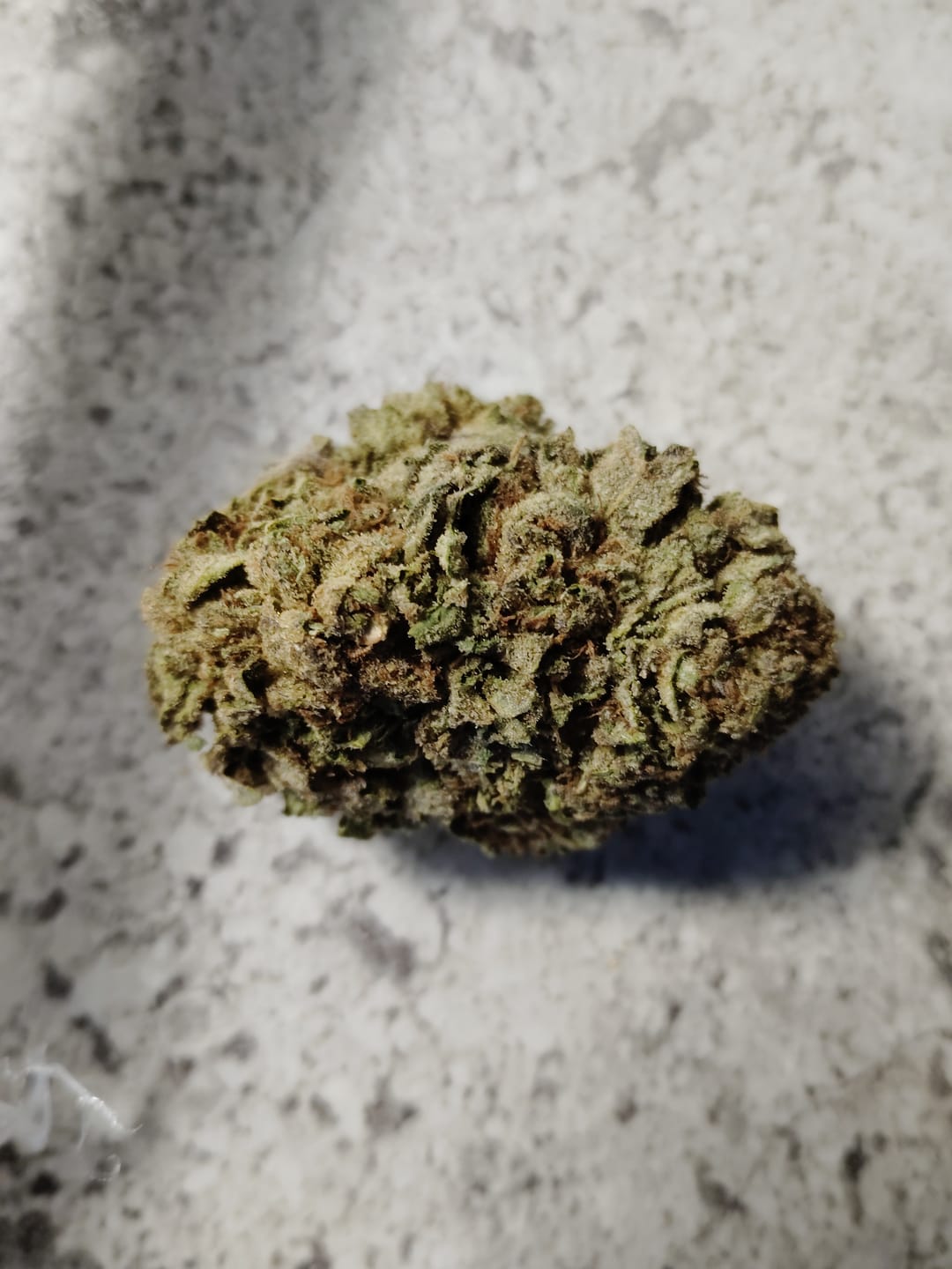 Customer photo review of Blue Sharpiez THCA Flower