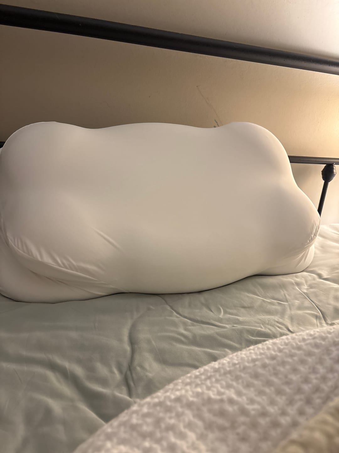 Customer photo review of CloudAlign™ Pillow
