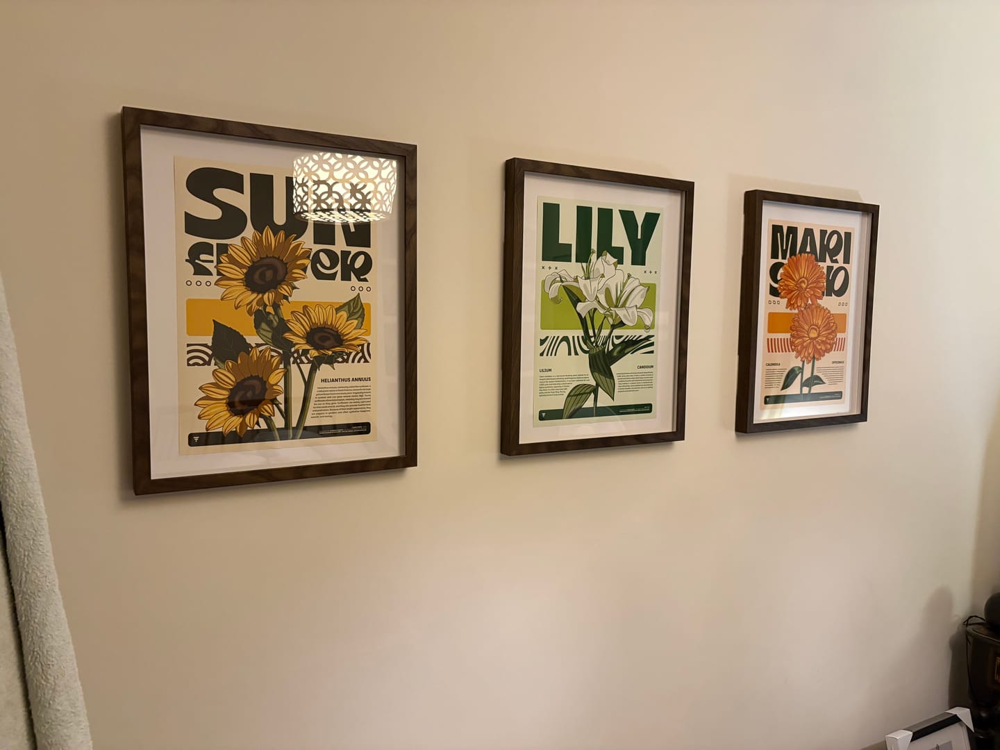 Customer photo review of SUNFLOWER 2