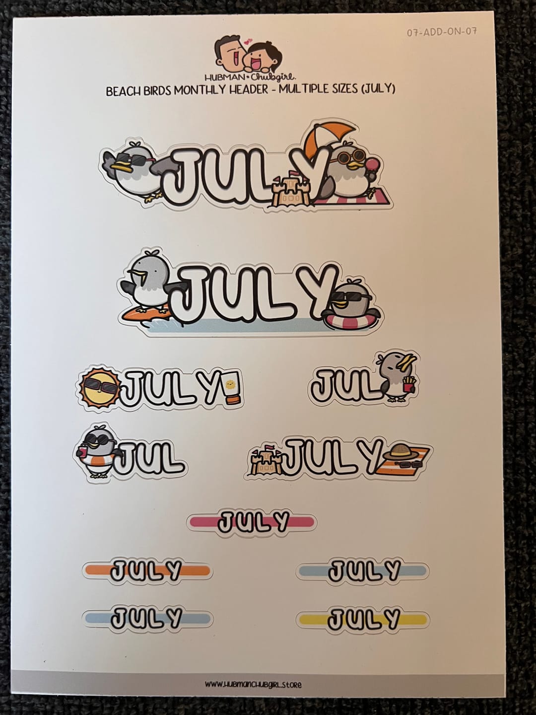 Customer photo review of Beach Birds Monthly Header - Multiple Sizes