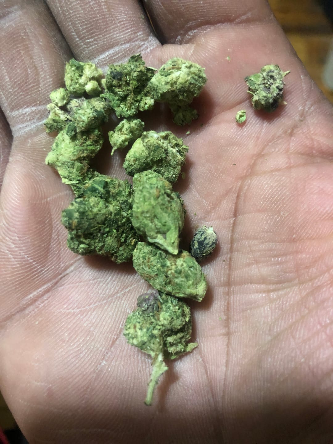 Customer photo review of Blueberry Cough - 28 Grams - Sativa