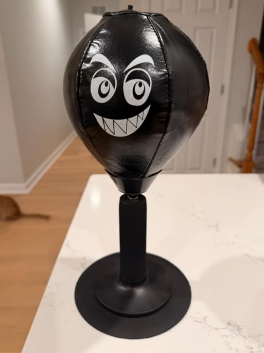 Customer photo review of PUNCHYGO™ – Punching-ball à ventouse pour enfant