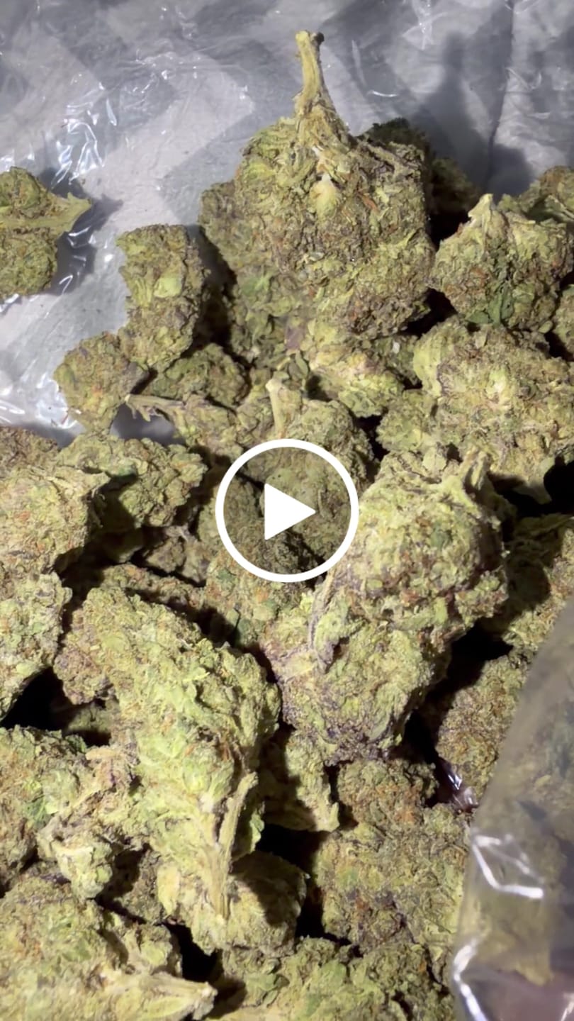 Customer video review of Purple Churro - Bulk - Indica