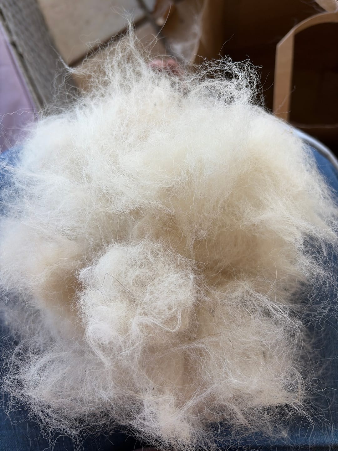 Customer photo review of Dual-Head Safe Pet Dematting Comb