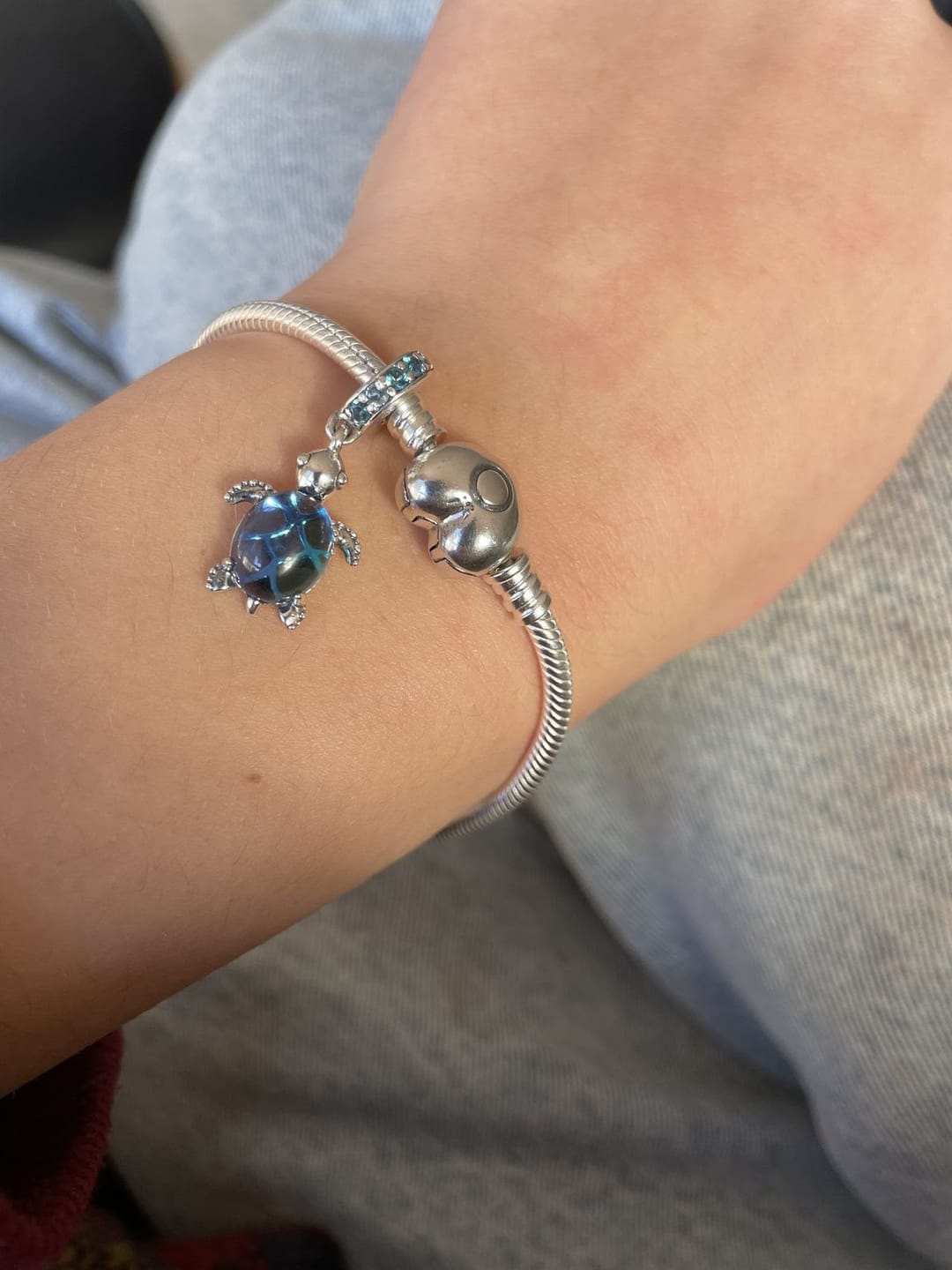 Customer photo review of Charm Tortuga Azul