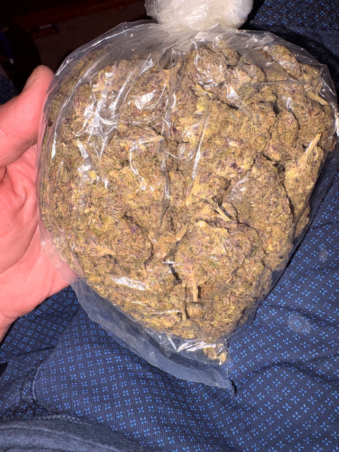Customer photo review of Purple Jack Indoor - Bulk - Hybrid