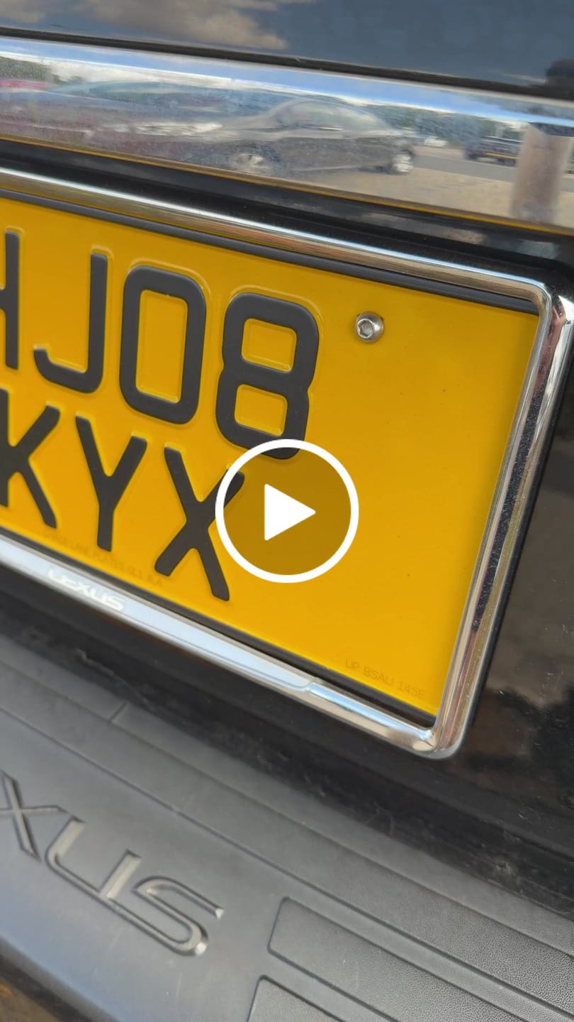 Customer video review of Metal Pressed Japanese Import Plate - 13 x 6