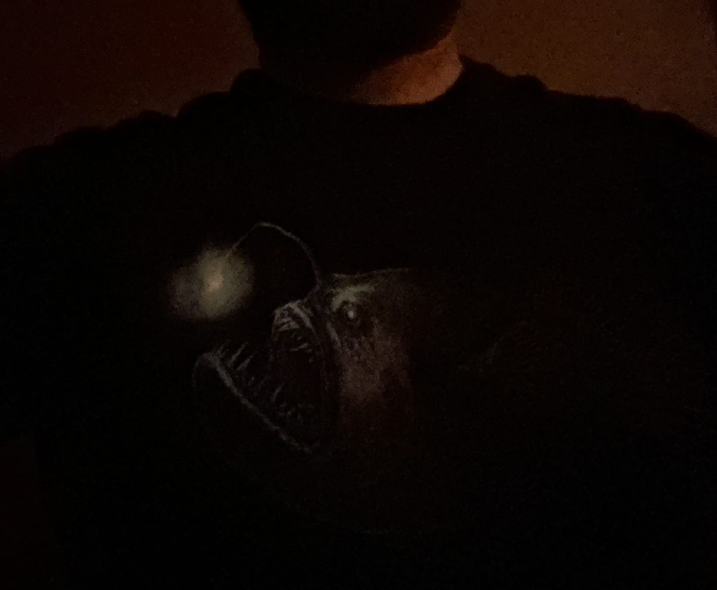 Customer photo review of Deep Anglerfish Light T-Shirt