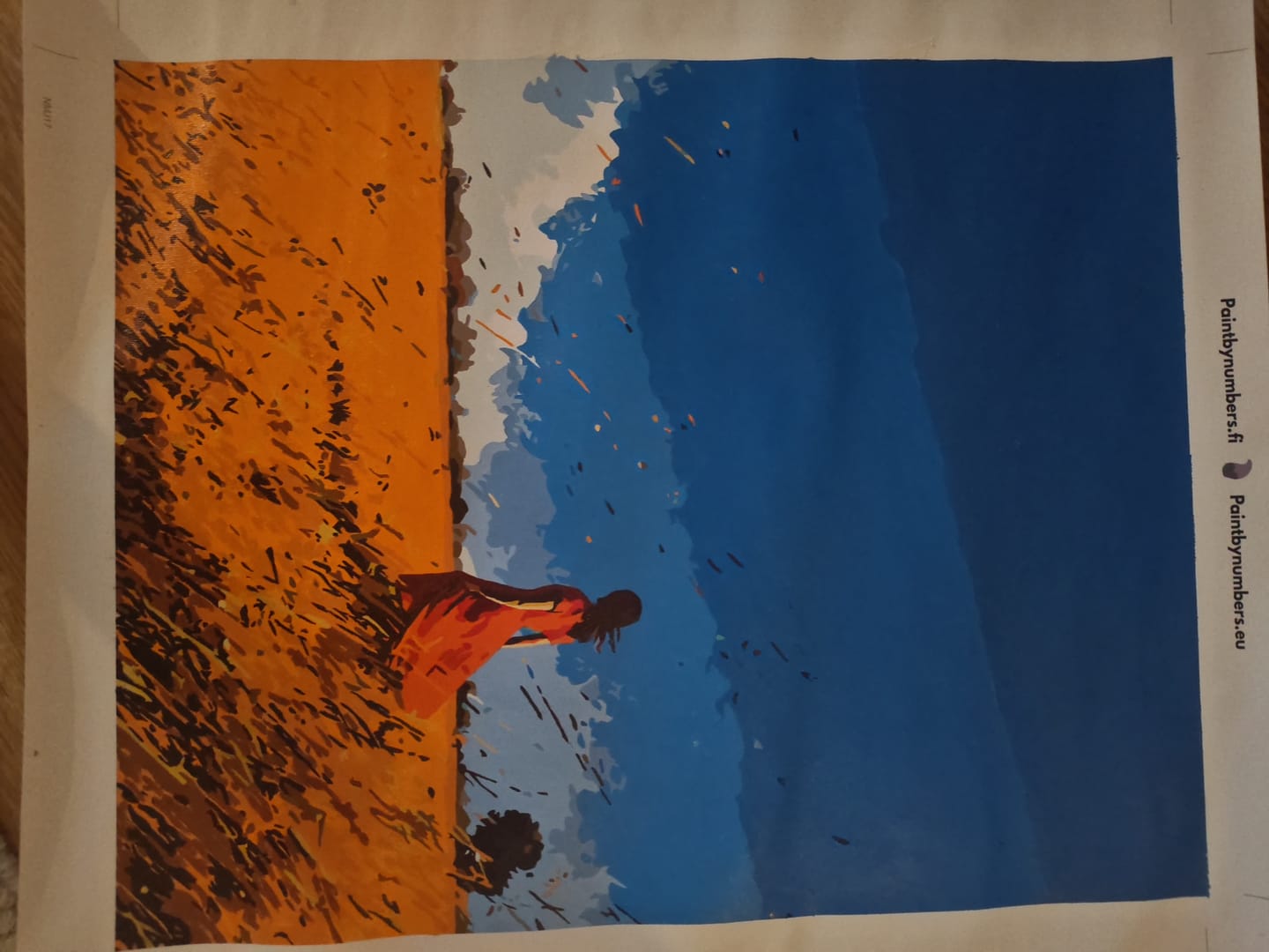 Customer photo review of Lady in the Field – Paint By Numbers