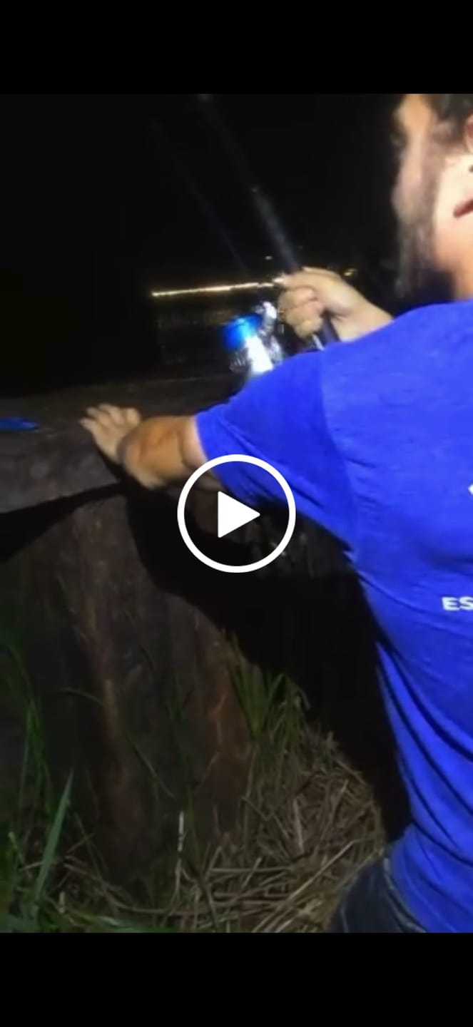 Customer video review of SaltX II Spinning Reel